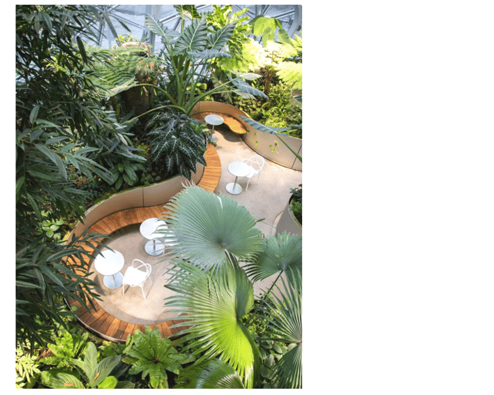 bureau espace plein air